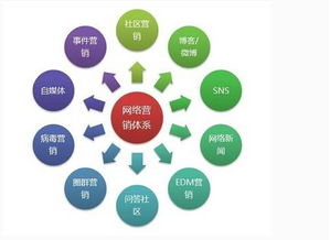 領創互聯 您身邊的互聯網建設與營銷專家，助力薯類銷售創新升級
