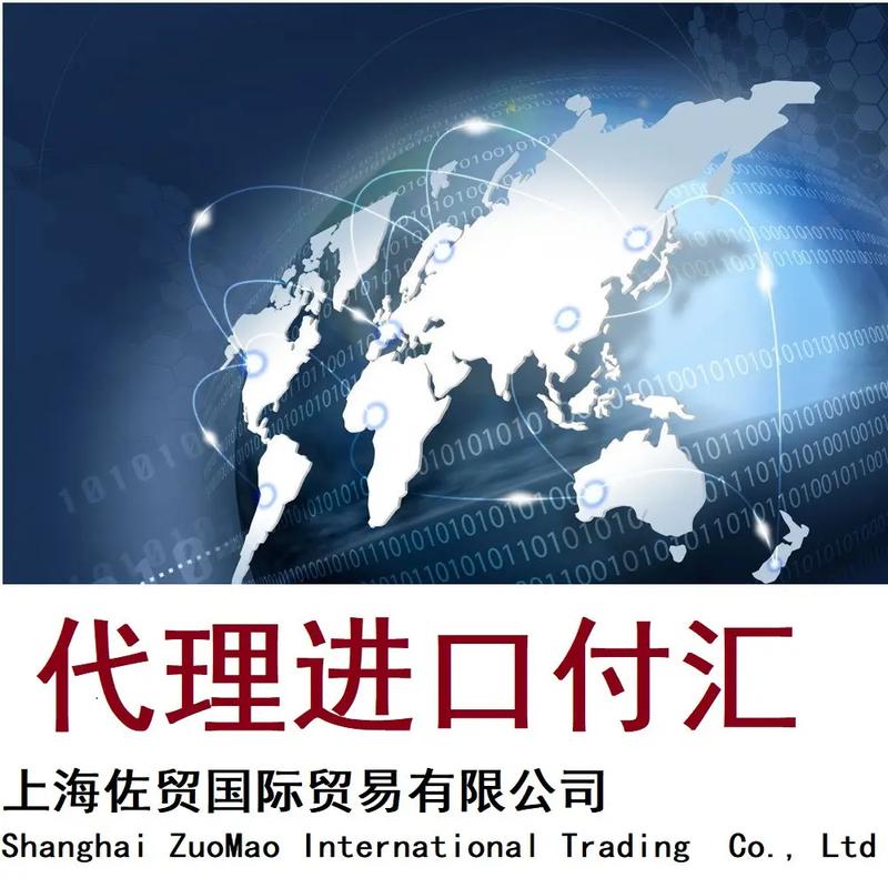 上海代理進出口服務(wù) 全方位海運與空運貿(mào)易代理解決方案